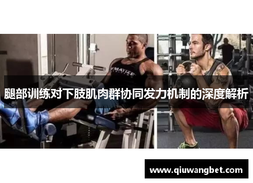 腿部训练对下肢肌肉群协同发力机制的深度解析
