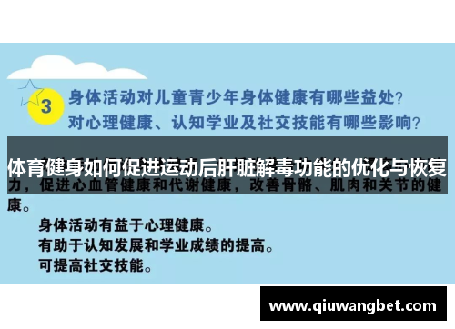 体育健身如何促进运动后肝脏解毒功能的优化与恢复